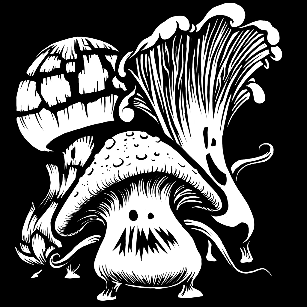 exp_card_magic_mushrooml