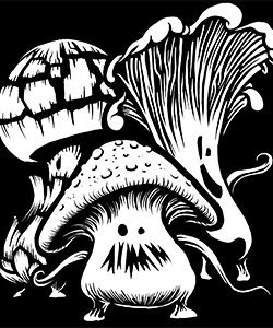 Magic Mushrooms
