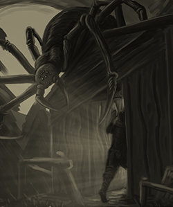 Spider Shed